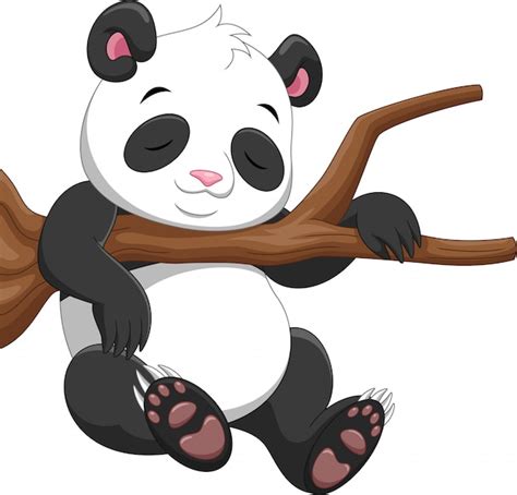 Premium Vector Cute Panda Sleeping On A Branch