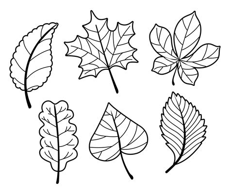 Fall Leaves Shapes 10 Free PDF Printables Printablee