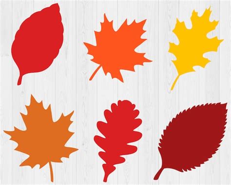 Fall Leaves Svg Bundle Printable Fall Svg Thanksgiving Svg Etsy