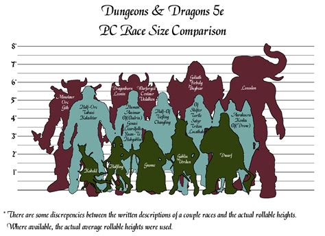 Dungeons And Dragons 5e Pc Race Size Comparison Rdnd