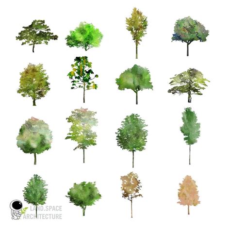 Free Watercolor PNG Trees Behance