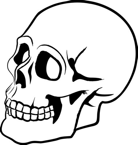 Skull Vector 2 Vector Download