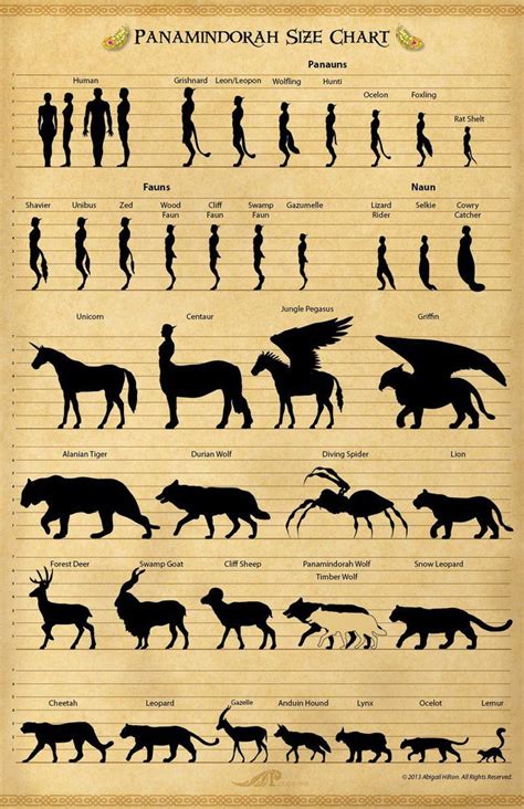 Dnd Size Chart 5e