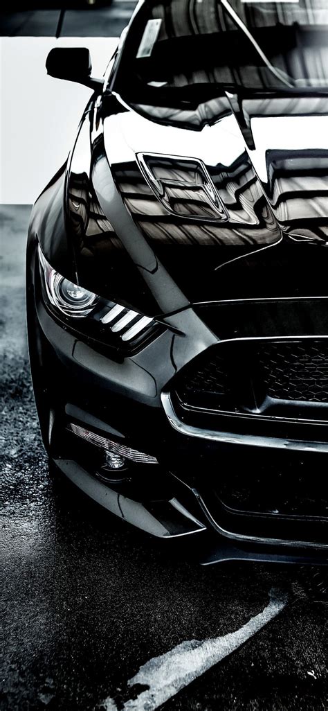 Black Mustang Wallpapers Hd Wallpaper Cave