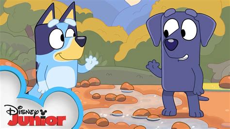 Bluey Makes A Camping Friend Bluey Disney Junior Disney Junior