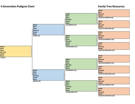 Generation Pedigree Chart