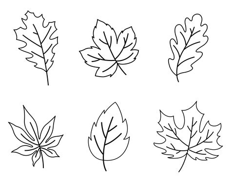 5 Best Images Of Printable Fall Leaves Shapes Printable Leaf Shapes