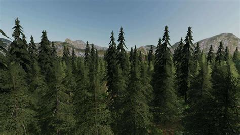 Fs22 Forest Valley V10 Fs 22 Maps Mod Download