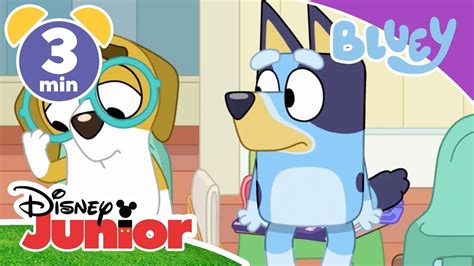 Bluey Invasion Of The Mini Hippos Disney Junior Cartoons Online