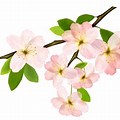 Spring Tree Branch Clip Art