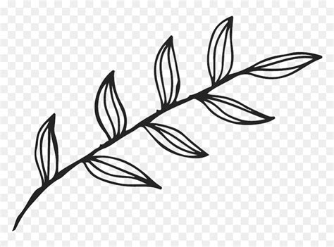 Clipart Leaf Outline Black And White, HD Png Download - vhv