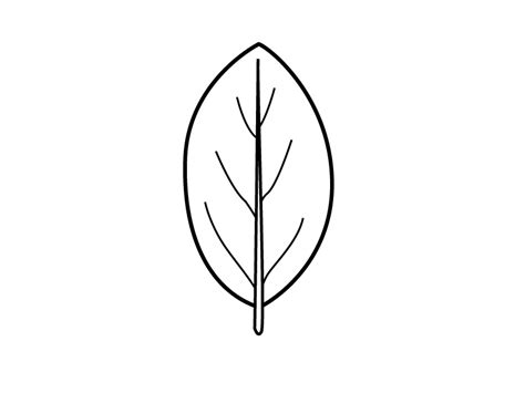 Oak Leaf Outline - Cliparts.co