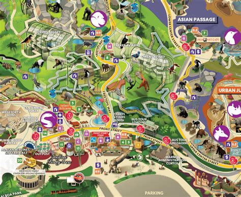 San Diego Zoo Map Printable Introduce Yourself And Your Program.