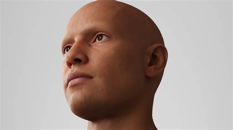 ArtStation - Male Head 4 3D model | Resources