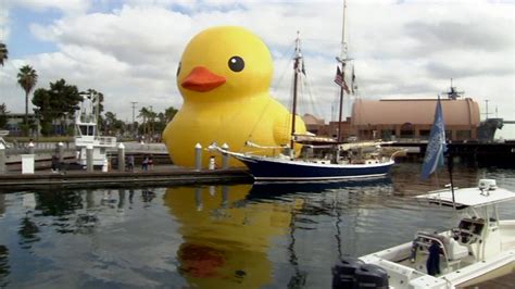 Giant rubber duck's move causes concern - ABC30 Fresno