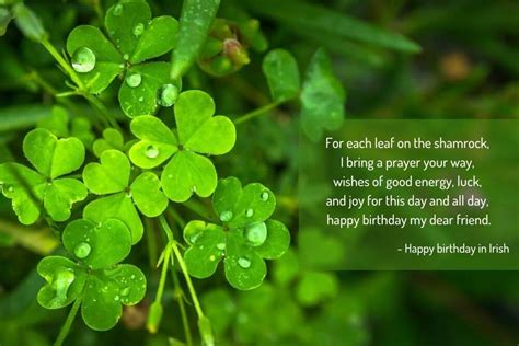 The Best Irish Birthday Blessings and Toasts for Family and Friends