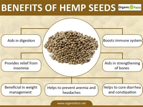 15 Best Benefits of Hemp Seed | Organic Facts