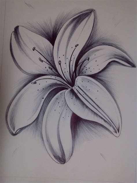 Pencil Shading Drawing Of Flowers - pencildrawing2019