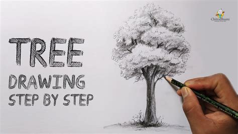 Tree Pencil Shading: A Step-by-Step Guide to Create Realistic Tree Effects