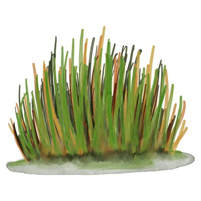 Watercolor Grass PNGs for Free Download