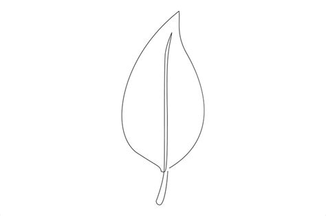 Premium Vector | Continuous one line drawing of Leaf outline vector art illustration isolated on ...