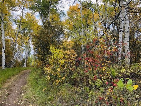 Fun Family Hikes in Aspen, Colorado (with Lots of Fall Colors!)