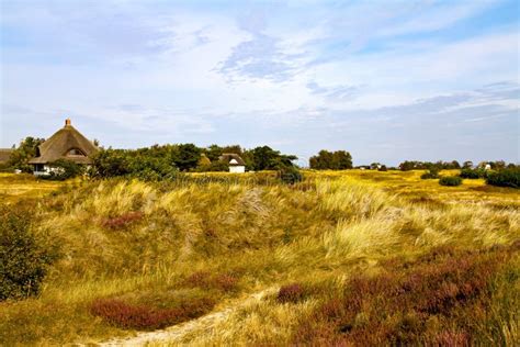 Grassland, Ecosystem, Prairie, Sky Picture. Image: 121934007