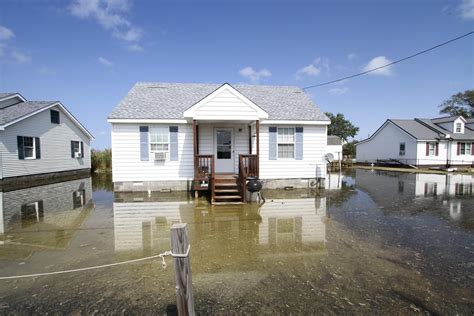 Insights - Tips to Reduce the Impact of Flooding to Your Home