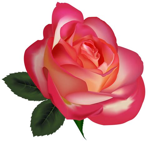 Beautiful flower png, Picture #2230787 beautiful flower png