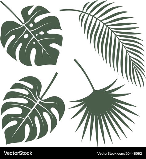 Tropical leaves 001 Royalty Free Vector Image - VectorStock