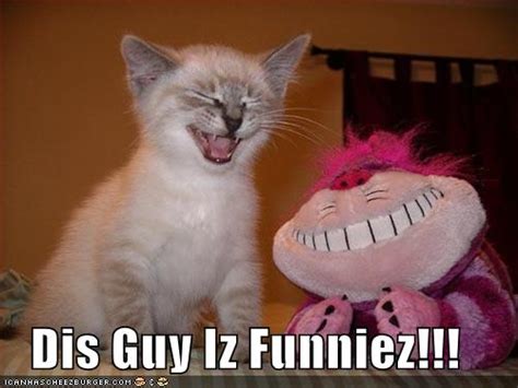 Funny Animals Zone: Funny Kittens with Captions Images 2012