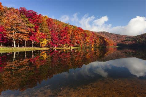 A Guide To Pennsylvania's Fall Foliage | Willow Tree and Landscape