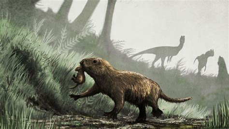 When dinosaurs went extinct, many animals literally came out of the dark | Science | AAAS