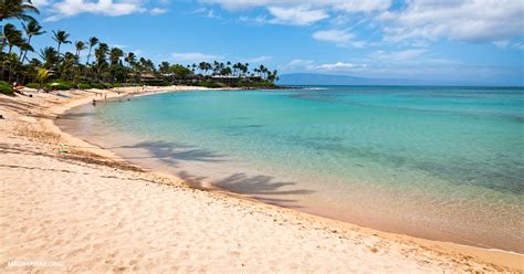 Napili Beach In West Maui's Napili Bay - Maui Hawaii Beaches