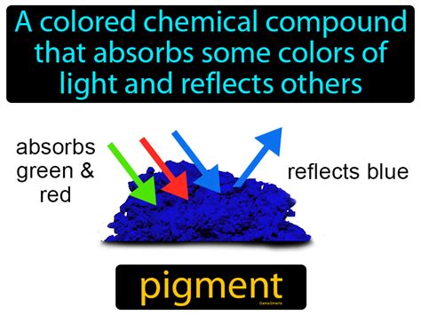 Pigment Definition & Image | GameSmartz