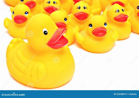 Yellow Rubber Ducks Stock Photos - Image: 22438873