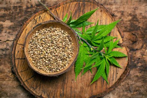 Hemp Seeds: Benefits and How to Use Them | Fine Dining Lovers