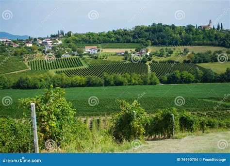 Valdobbiadene Vineyards, Veneto, Italy Stock Photo - Image of treviso, mediterranean: 76990704