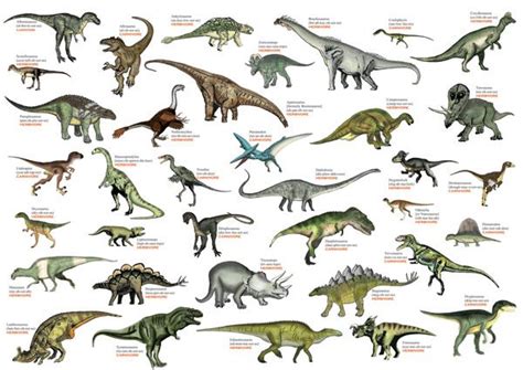 Dinosaurs and other related creatures | Dinosaur pictures, Dinosaur ...