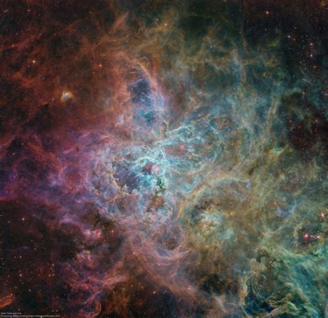 The Tarantula Nebula - The Astronomy Enthusiast