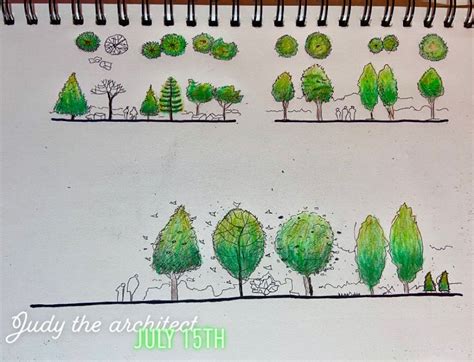 Drawing trees in top and front view and colored with colored pencils | Tree drawing ...