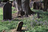 Image of abstract graves | CreepyHalloweenImages