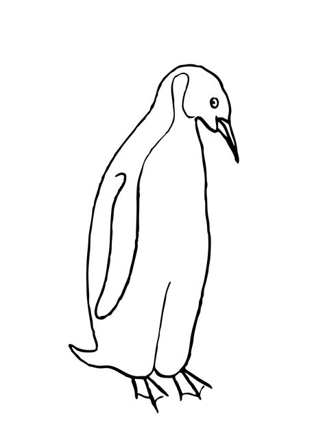 Penguin Drawing Free Stock Photo - Public Domain Pictures