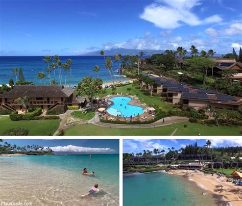 Napili Bay Beach Review - Maui Beaches - Maui Guide