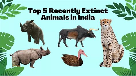 extinct animals in india | Animal Species