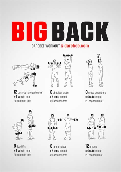 Big Back Workout