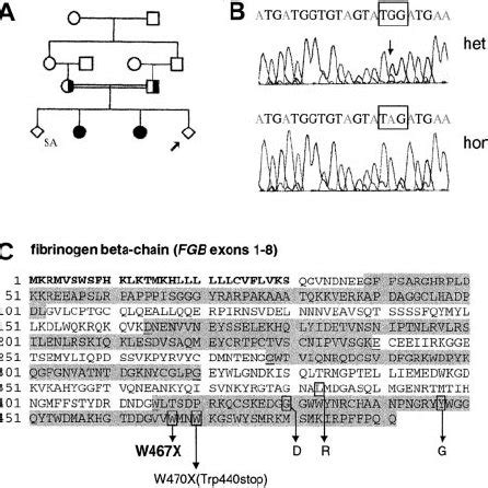 Prenatal diagnosis for congenital a fi brinogenemia. (A) Family tree. SA: | Download Scientific ...