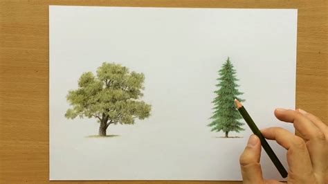 Tree Colour Pencil Drawing: A Comprehensive Guide for Beginners