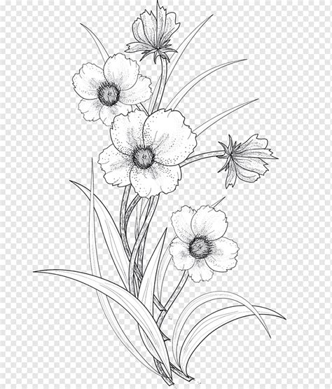 Hand Drawn Flowers Png | Best Flower Site