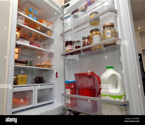 domestic fridge interior Stock Photo - Alamy